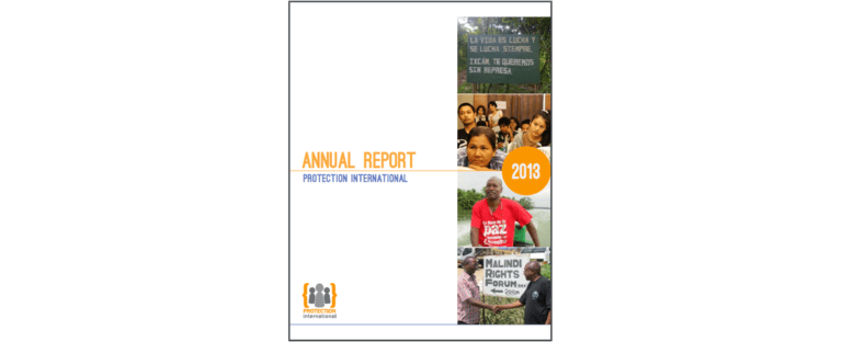 anual-report-2013