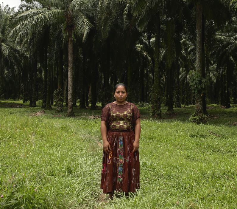 person standing in front of a forrest with palm trees